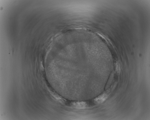 X0000066080517200603311938