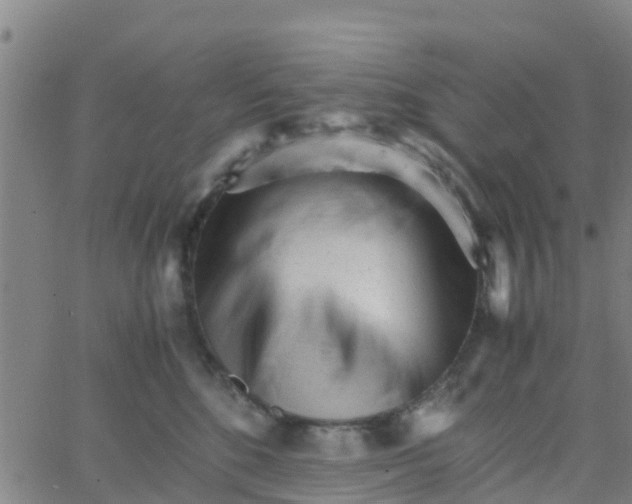 X0000066080520200603311938