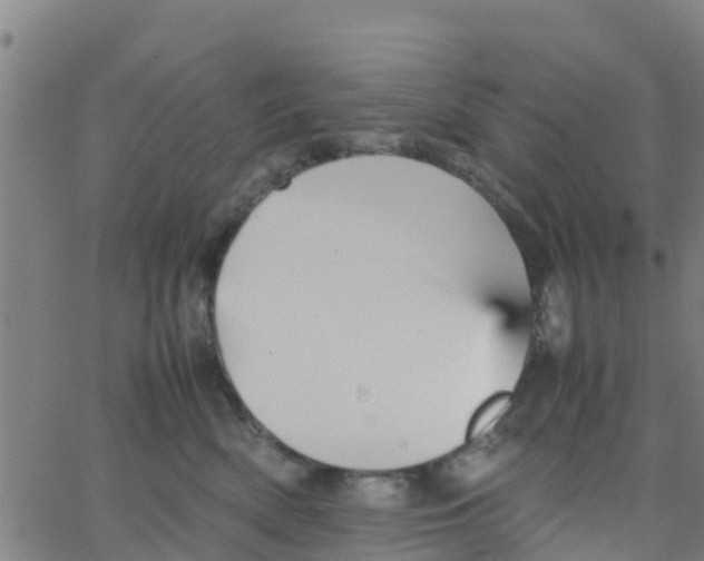 X0000066080522200603311938