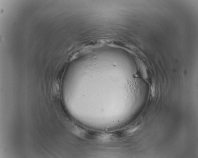 X0000066080523200603311938