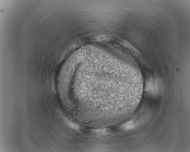 X0000066080524200603311938