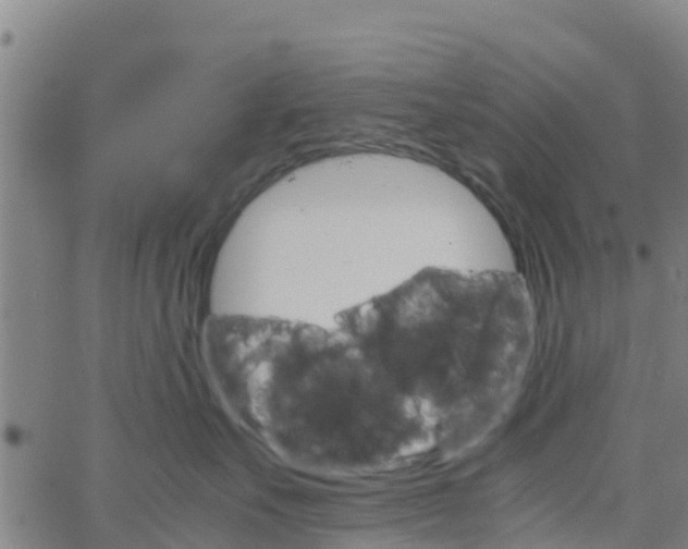 X0000066080527200603311938