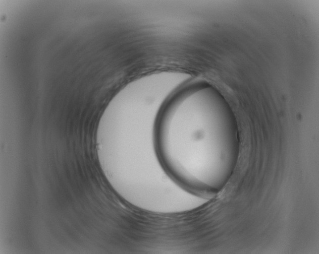 X0000066080528200603311938