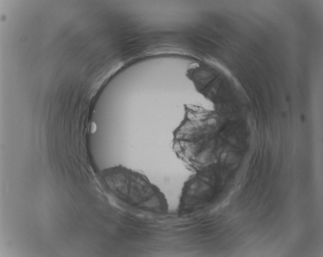 X0000066080529200603311937