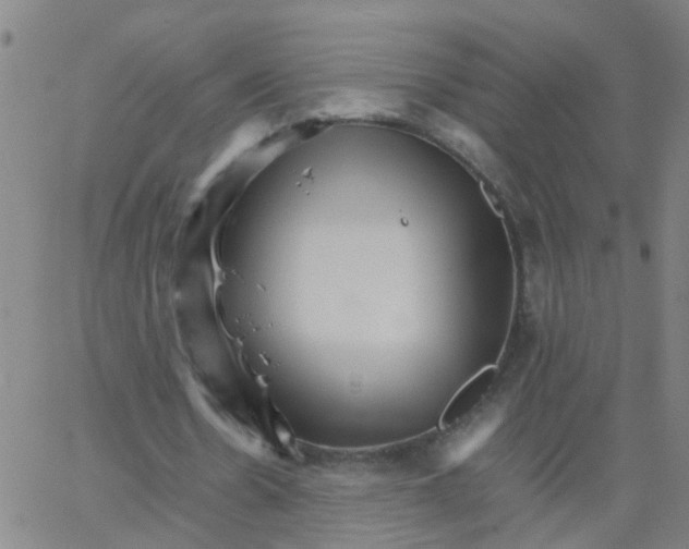 X0000066080530200603311937