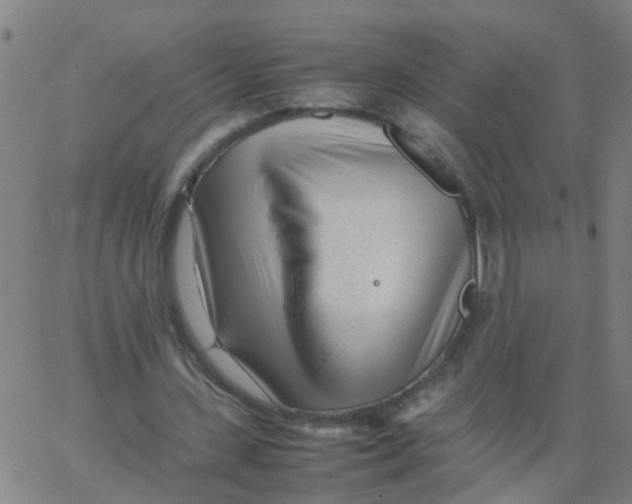 X0000066080531200603311937