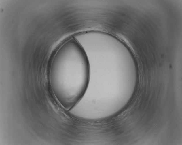 X0000066080532200603311937