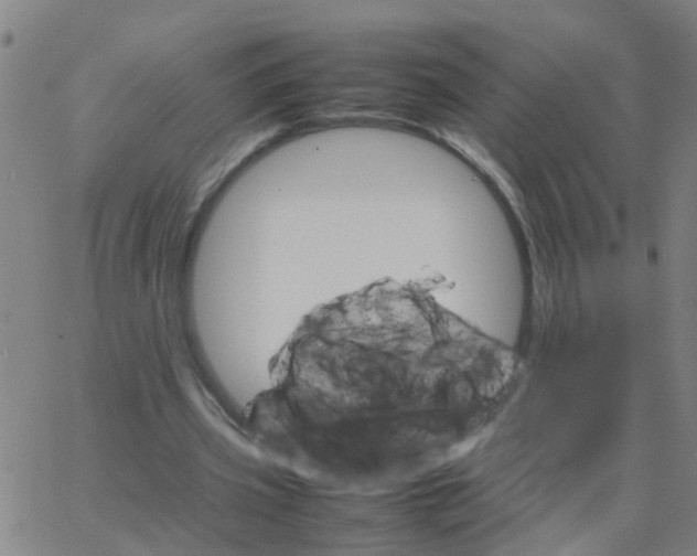 X0000066080533200603311937