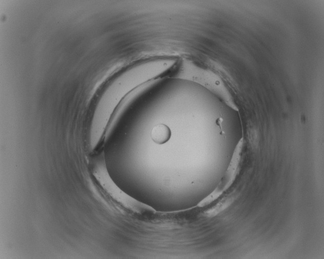 X0000066080534200603311937