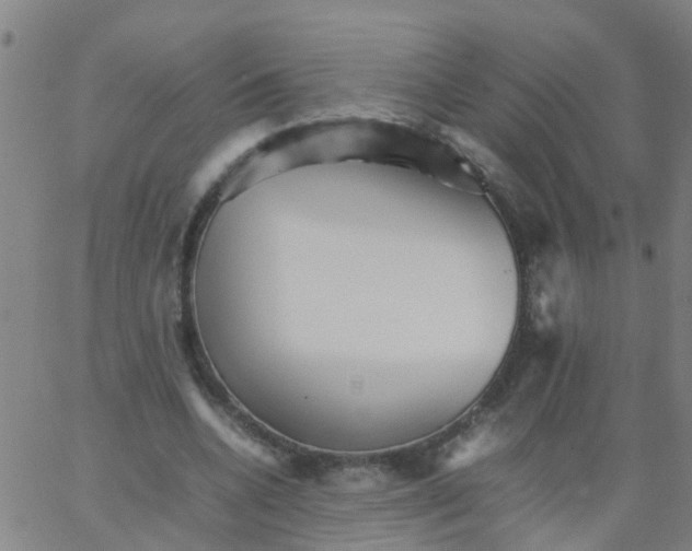 X0000066080536200603311937