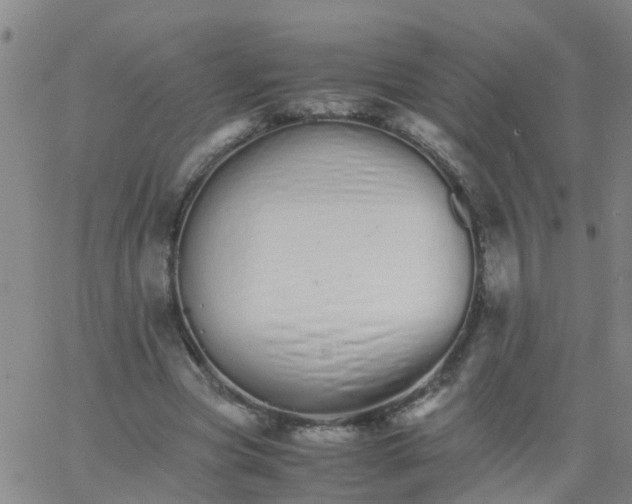 X0000066080537200603311937