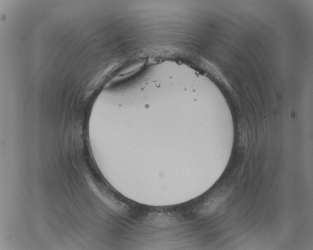 X0000066080538200603311937