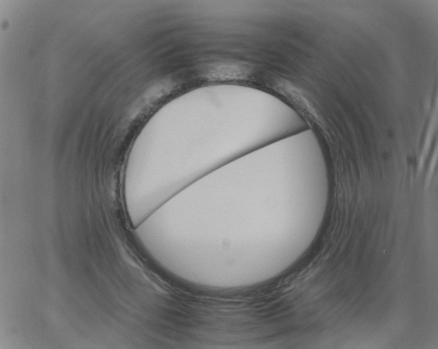 X0000066080539200603311937