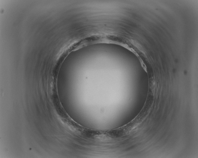 X0000066080544200603311938