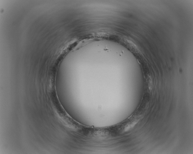 X0000066080546200603311938