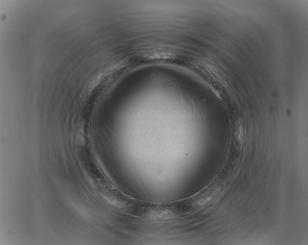 X0000066080547200603311938