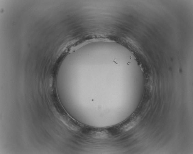 X0000066080548200603311938