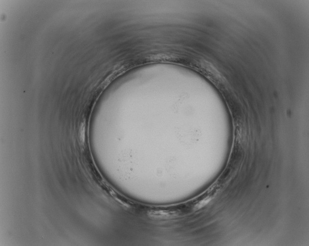 X0000066080549200603311938