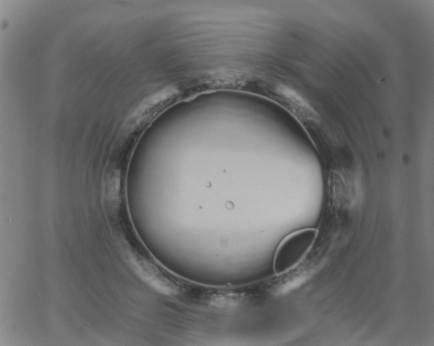 X0000066080550200603311938