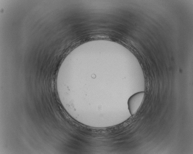 X0000066080551200603311938