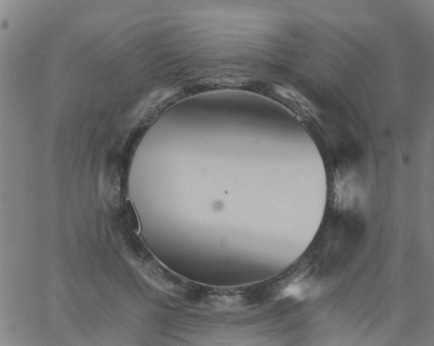 X0000066080552200603311938