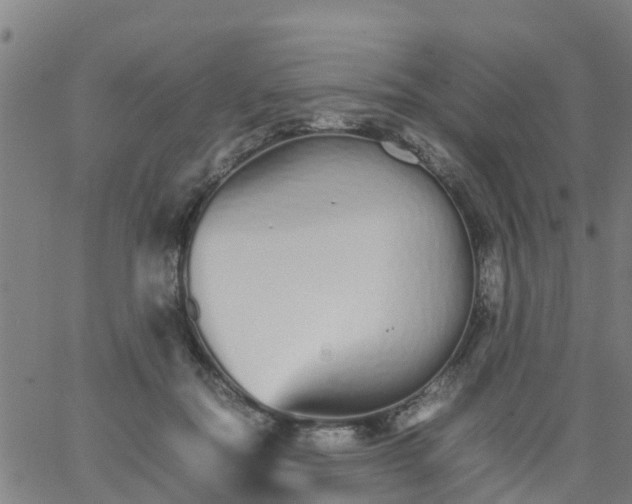 X0000066080554200603311938