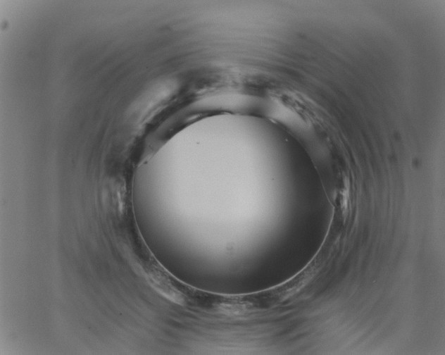 X0000066080556200603311938