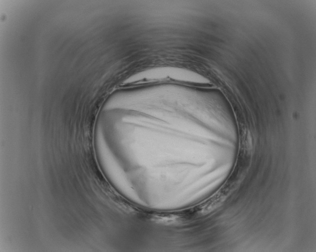 X0000066080557200603311938