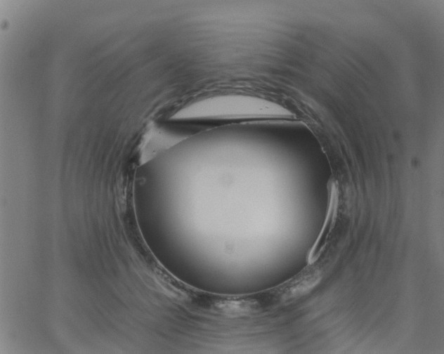 X0000066080558200603311938