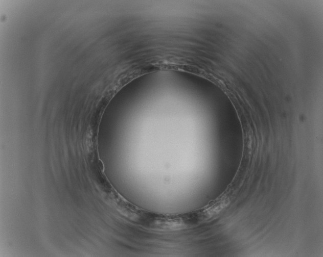 X0000066080559200603311938