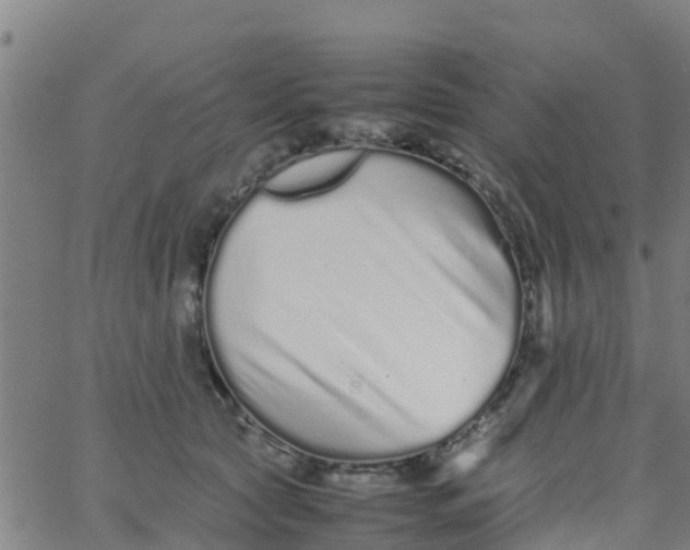 X0000066080561200603311938