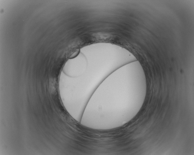 X0000066080563200603311938