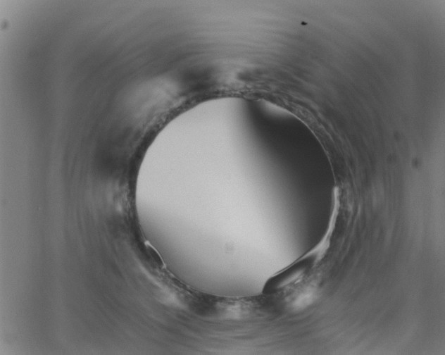 X0000066080564200603311938