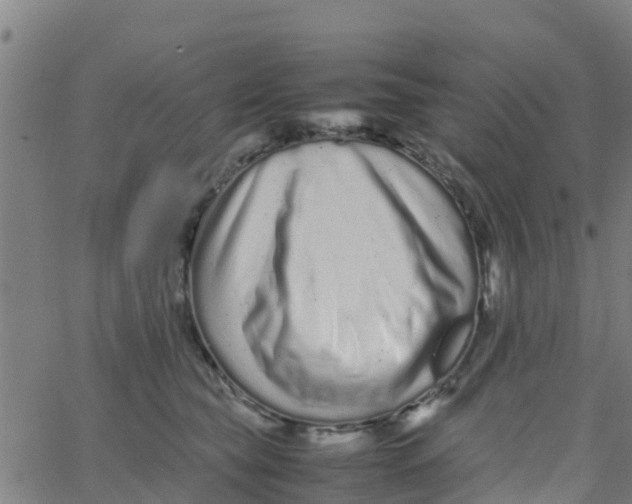 X0000066080565200603311938