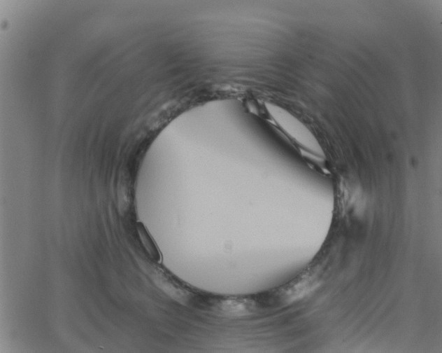 X0000066080566200603311938