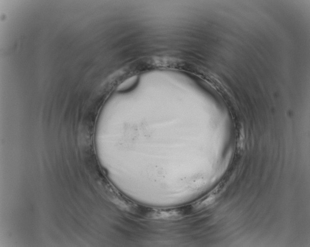 X0000066080569200603311938