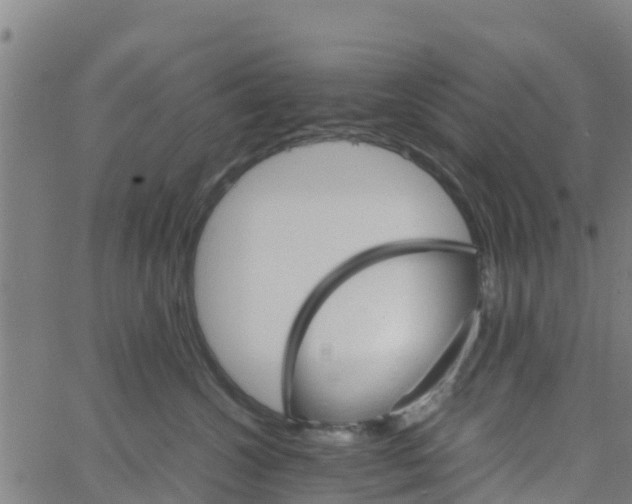 X0000066080572200603311938