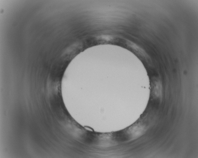 X0000066080574200603311938