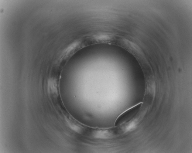 X0000066080575200603311938