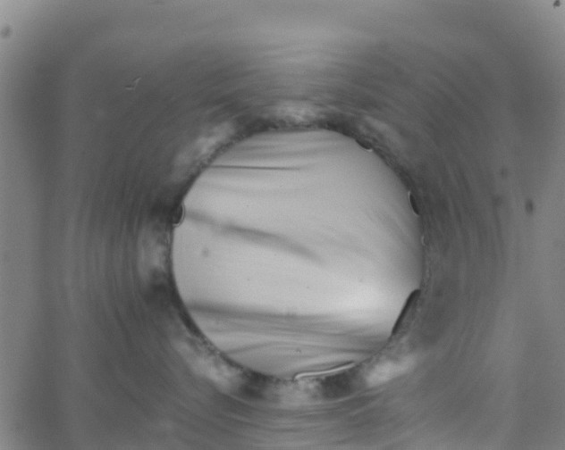 X0000066080576200603311938