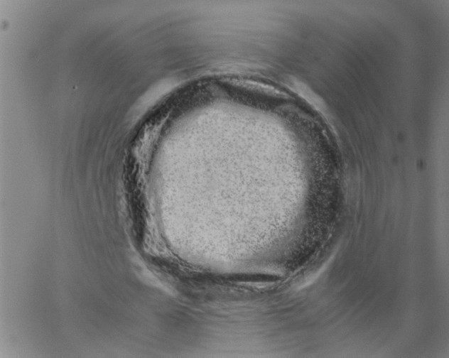 X0000066080577200603311937