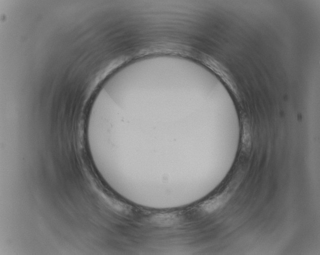 X0000066080578200603311937