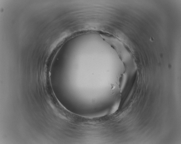 X0000066080580200603311937