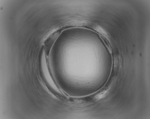 X0000066080581200603311937