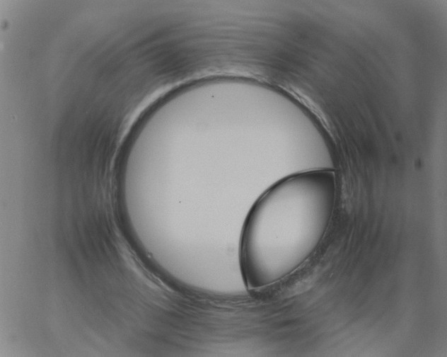 X0000066080584200603311937