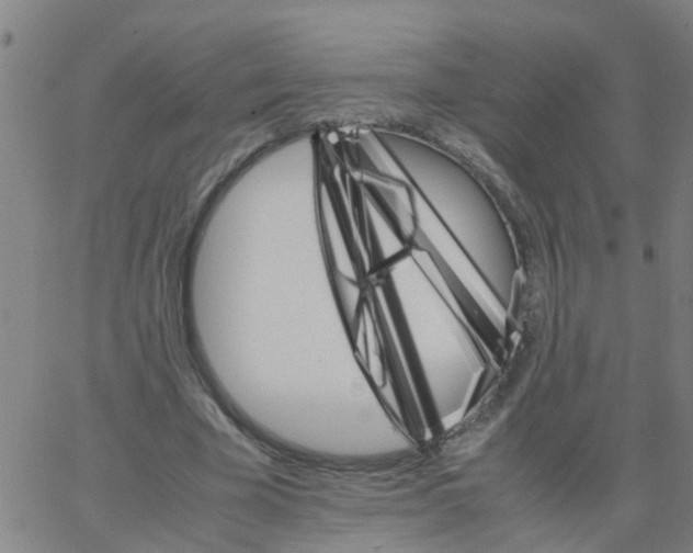 X0000066080585200603311937