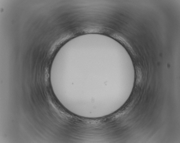 X0000066080586200603311937