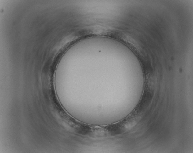 X0000066080587200603311937