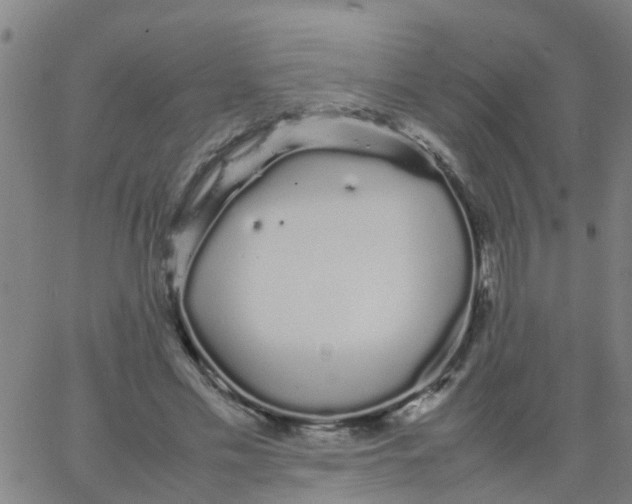 X0000066080589200603311937