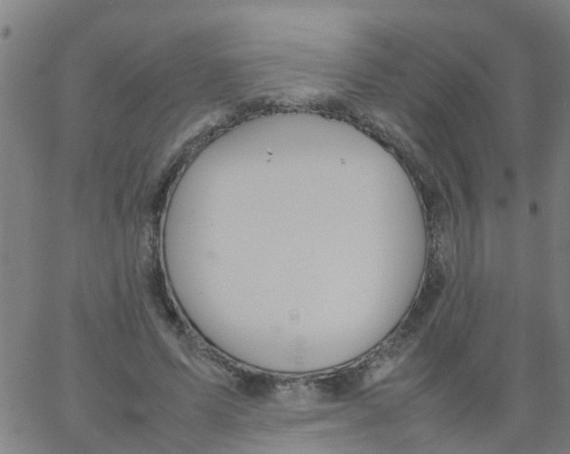 X0000066080591200603311937